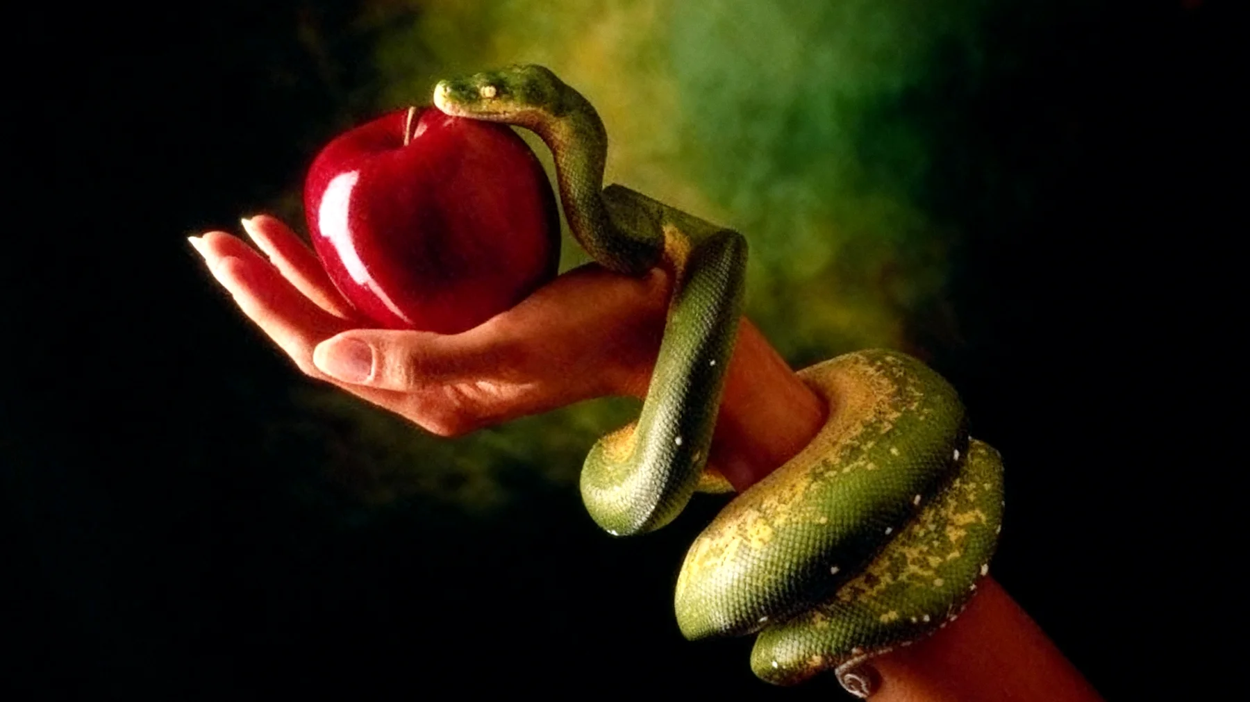 Forbidden Fruit2025-12-16T22:57:48.735Z"