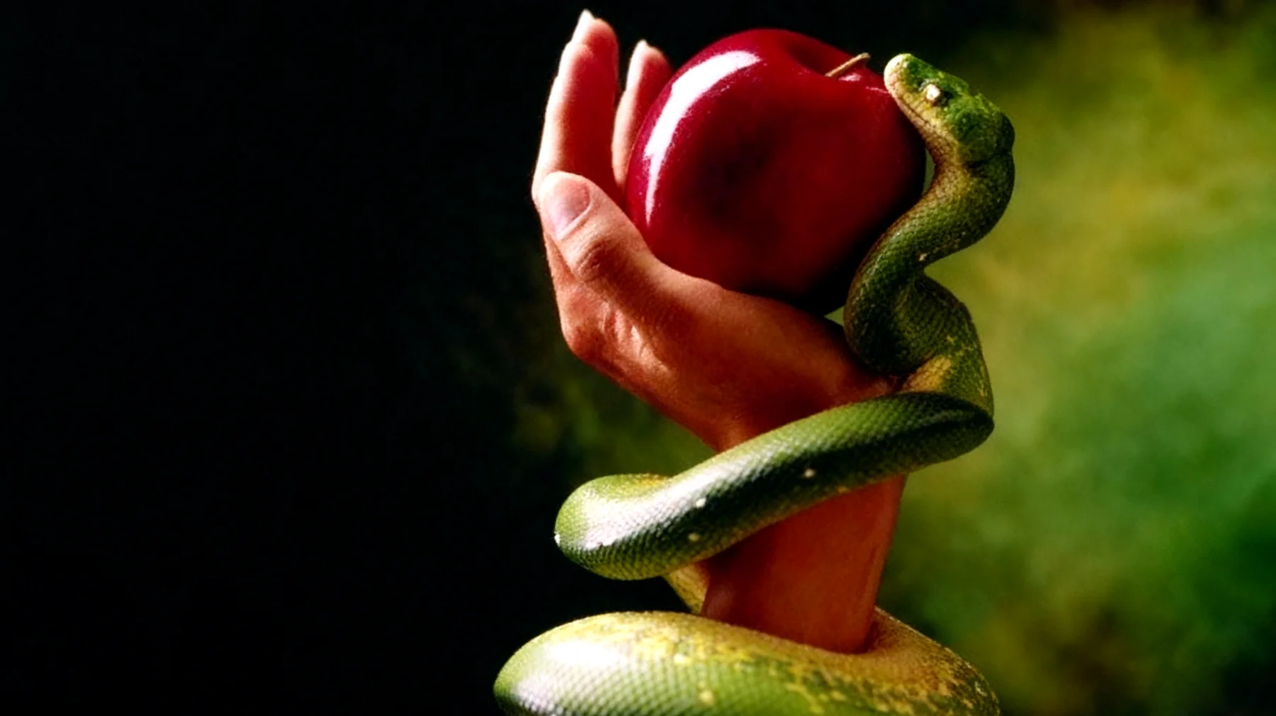 Forbidden Fruit2025-12-18T22:56:29.907Z"