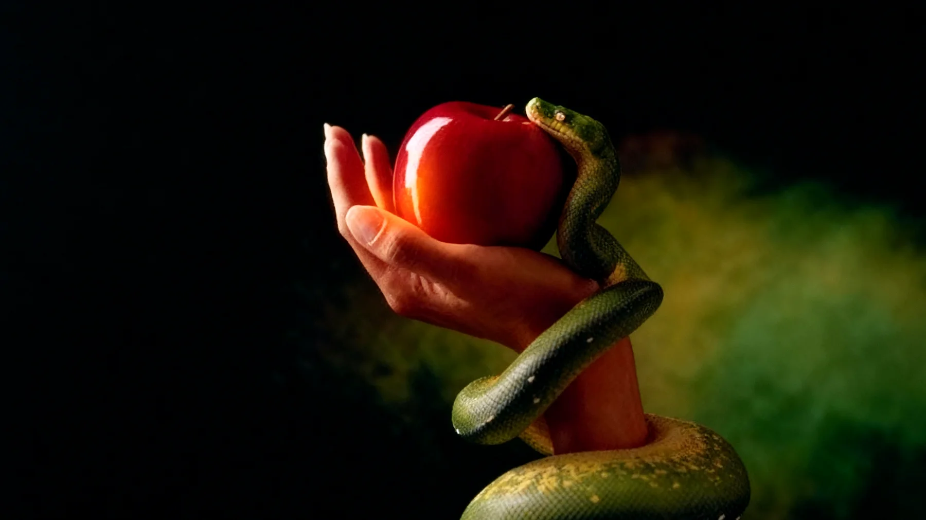 Forbidden Fruit2025-12-20T22:47:11.893Z"