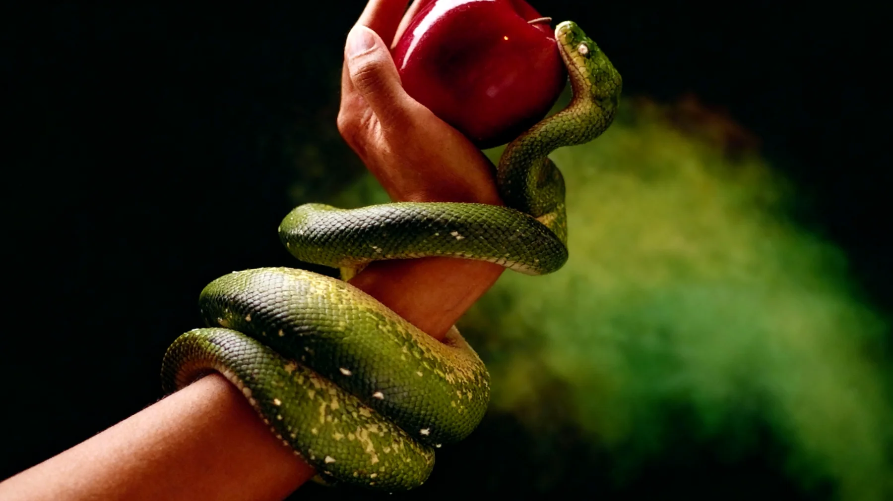 Forbidden Fruit2025-12-22T22:58:37.627Z"