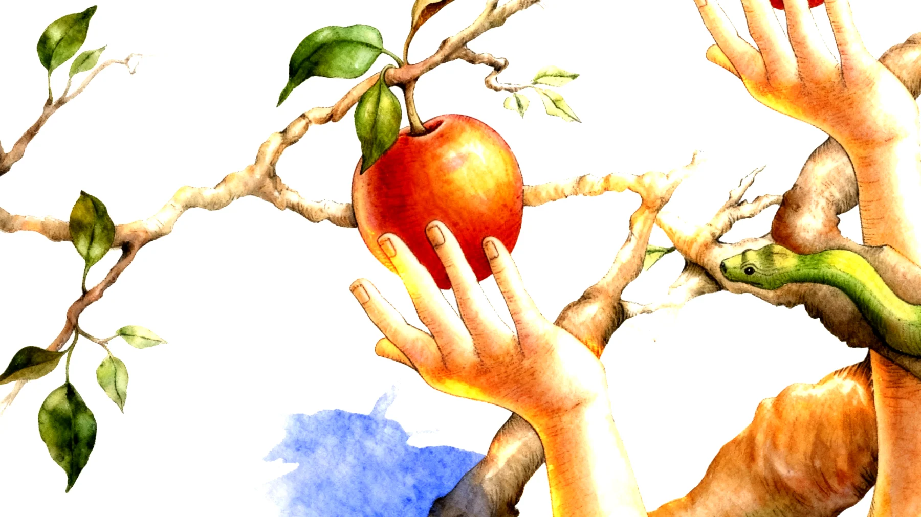 Forbidden Fruit2025-12-26T23:00:32.914Z"