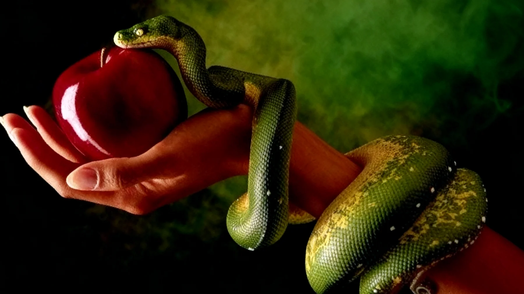 Forbidden Fruit2025-12-29T22:55:03.541Z"