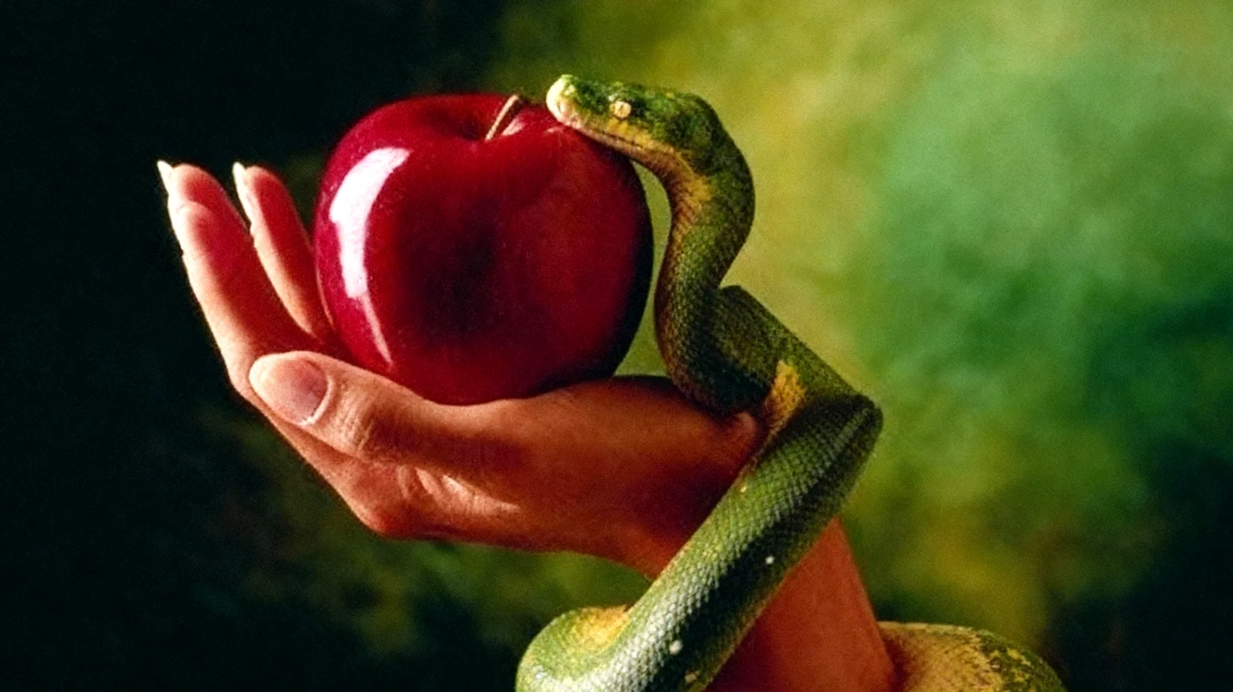 Forbidden Fruit2025-12-30T22:53:04.711Z"