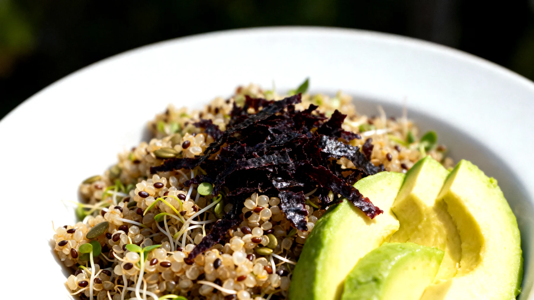 Insalata di quinoa germogliata con semi di canapa, alghe dulse e avocado"