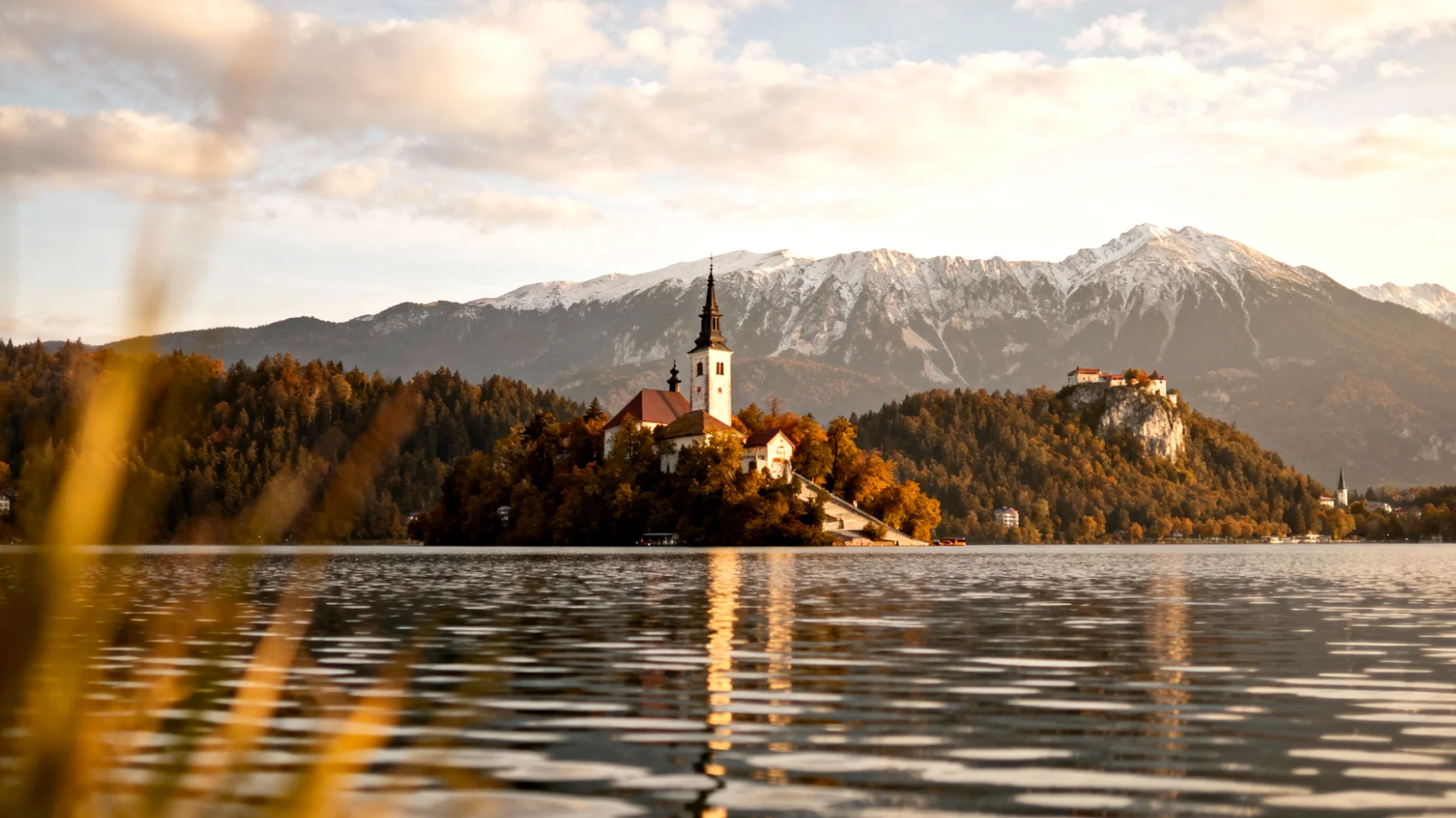 Bled"