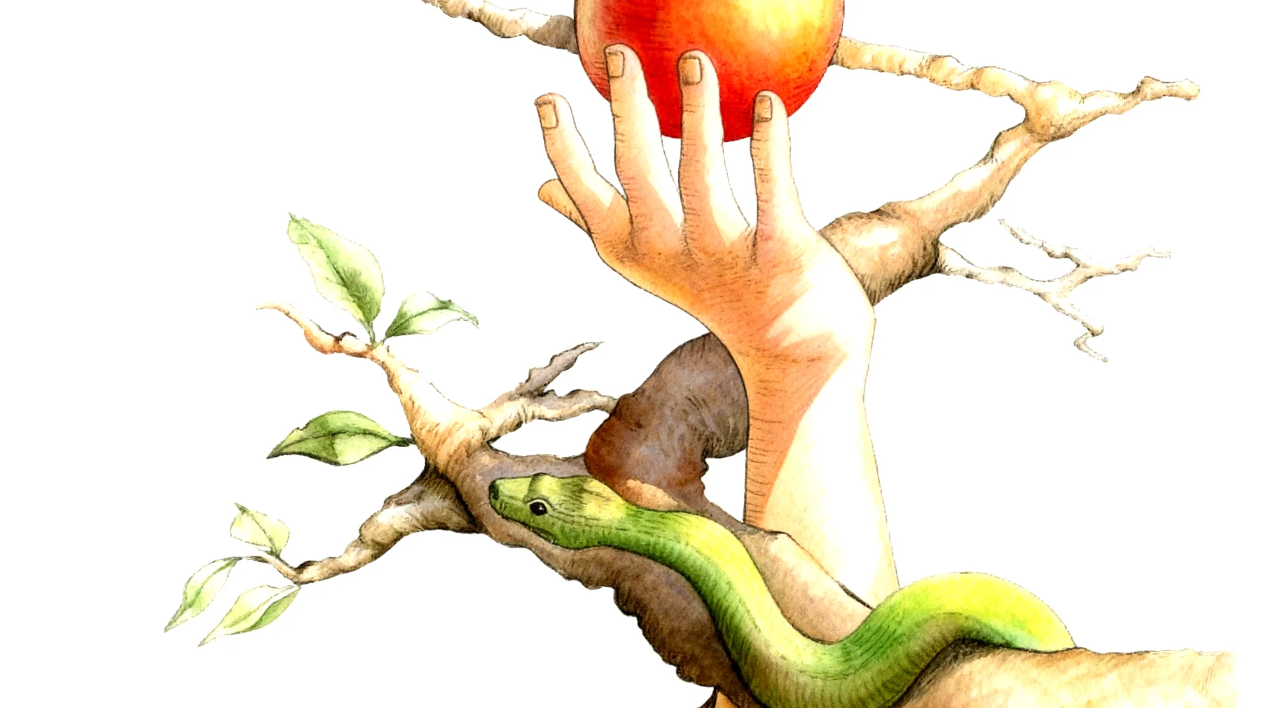 Forbidden Fruit2026-01-04T22:57:43.055Z"