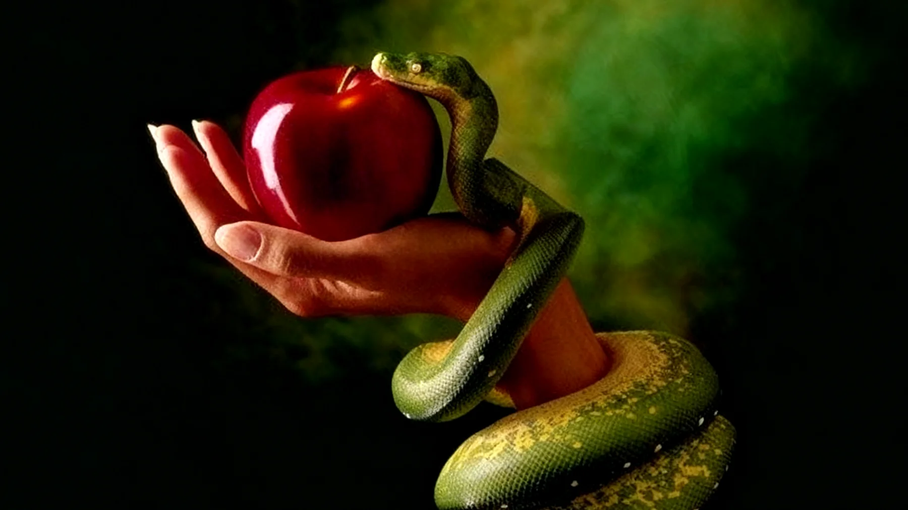 Forbidden Fruit2026-01-06T22:57:43.489Z"