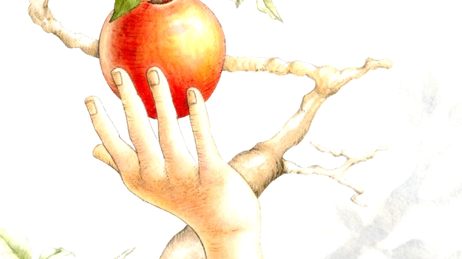 Forbidden Fruit2026-01-13T22:56:41.987Z"