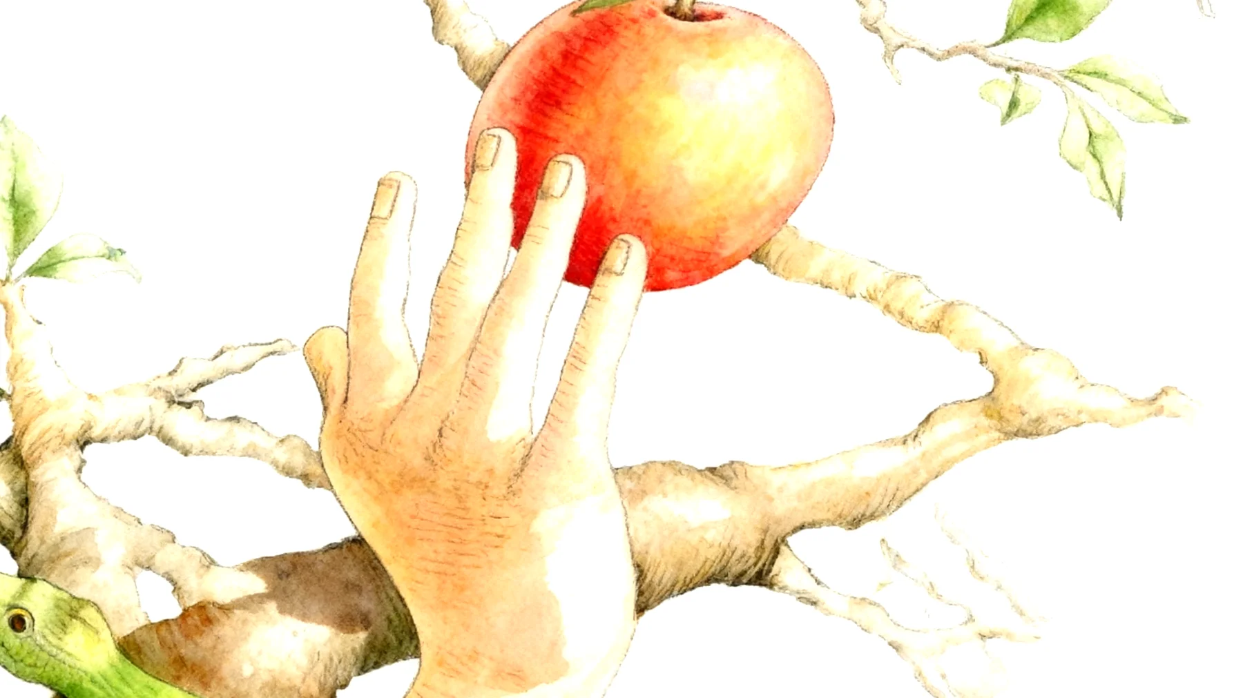 Forbidden Fruit2026-01-14T22:58:53.672Z"